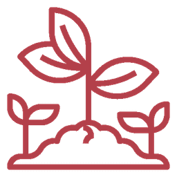 Percentage of satisified patients